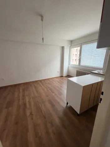 Prodej bytu 2+kk, Třebíč, Řípovská, 33 m2