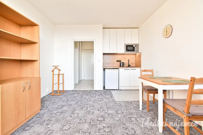 Pronájem bytu 1+kk, Brno, Halasovo náměstí, 23 m2