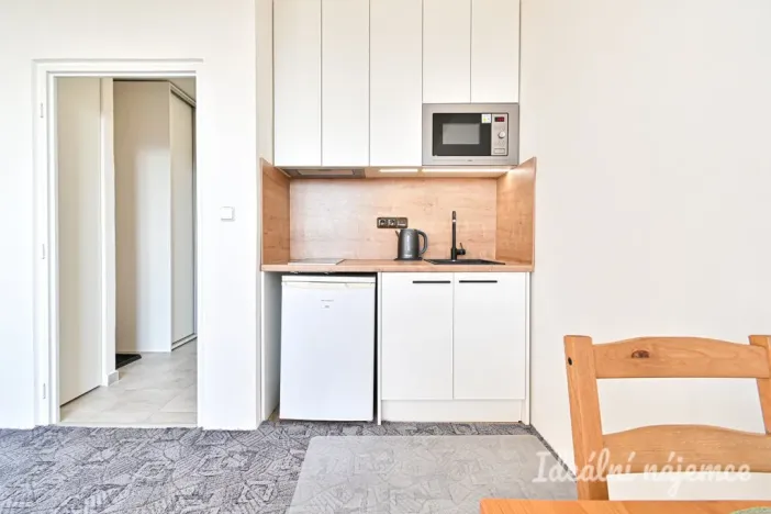 Pronájem bytu 1+kk, Brno, Halasovo náměstí, 23 m2