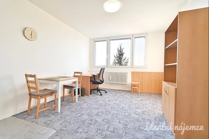 Pronájem bytu 1+kk, Brno, Halasovo náměstí, 23 m2