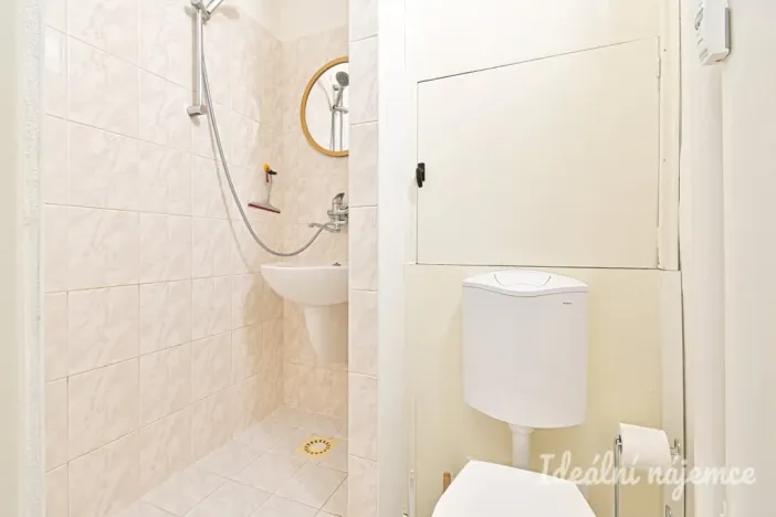 Pronájem bytu 1+kk, Brno, Halasovo náměstí, 23 m2