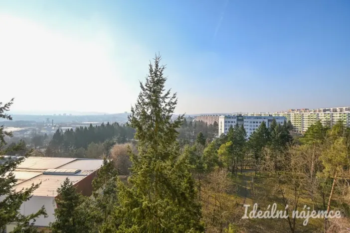 Pronájem bytu 1+kk, Brno, Halasovo náměstí, 23 m2