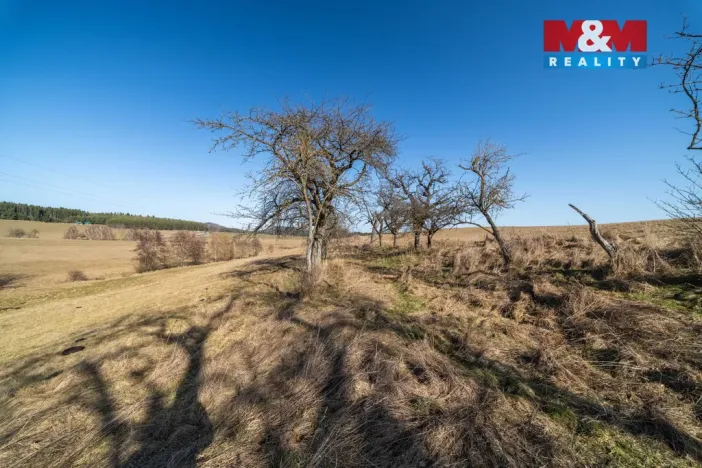 Prodej pozemku, Olbramov - Zádub, 4189 m2