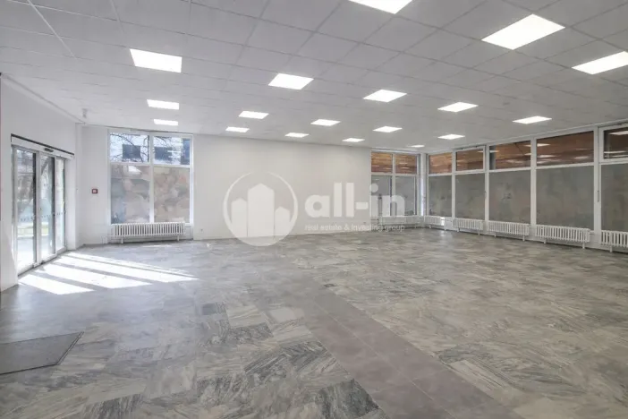 Pronájem obchodního prostoru, Vyškov - Brňany, Palánek, 252 m2