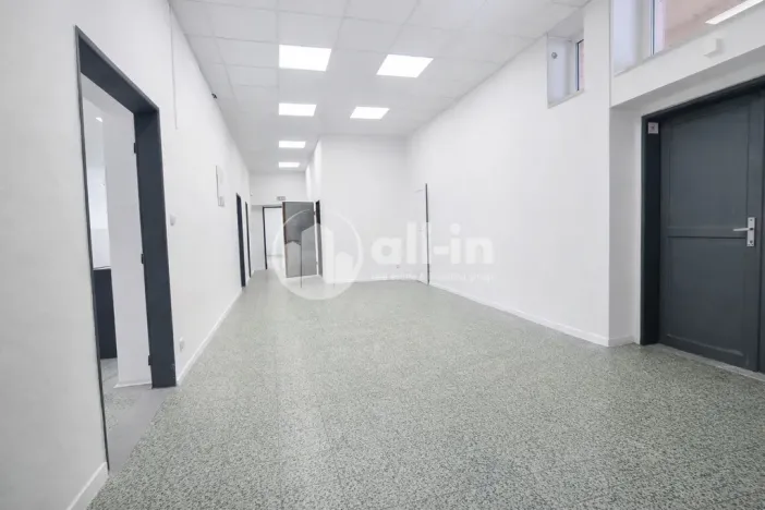 Pronájem obchodního prostoru, Vyškov - Brňany, Palánek, 252 m2