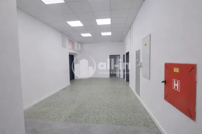 Pronájem obchodního prostoru, Vyškov - Brňany, Palánek, 252 m2
