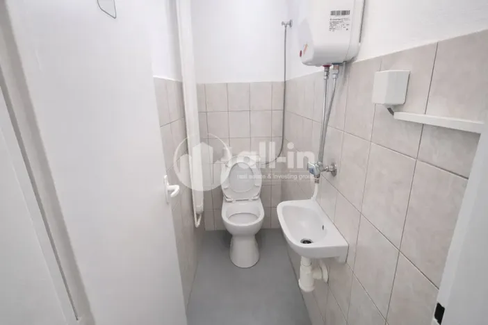 Pronájem obchodního prostoru, Vyškov - Brňany, Palánek, 252 m2