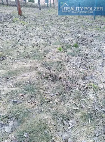 Pronájem zahrady, Dětkovice, 581 m2