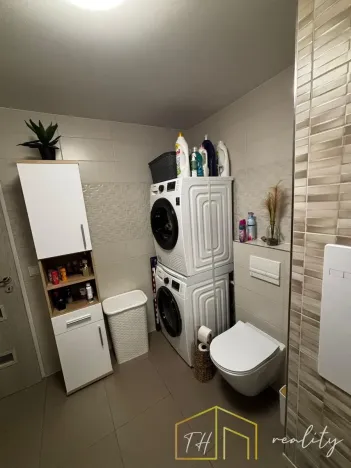 Prodej bytu 3+kk, Bílina - Teplické Předměstí, Čapkova, 55 m2