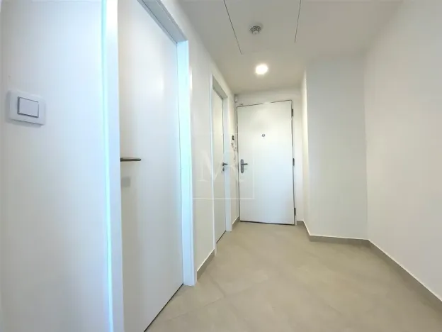 Pronájem bytu 2+kk, Praha - Žižkov, Jana Želivského, 62 m2
