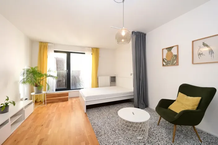 Pronájem bytu 1+kk, Praha - Smíchov, Plzeňská, 43 m2