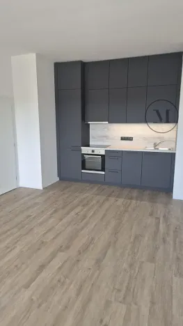 Pronájem bytu 2+kk, České Budějovice, Branišovská, 57 m2