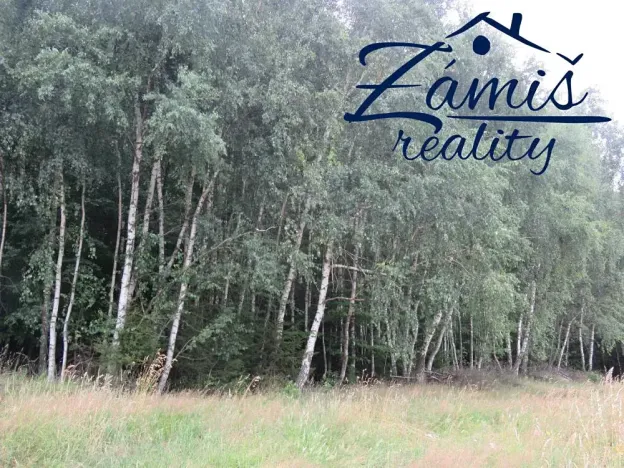 Prodej podílu lesa, Pohledy, 7200 m2