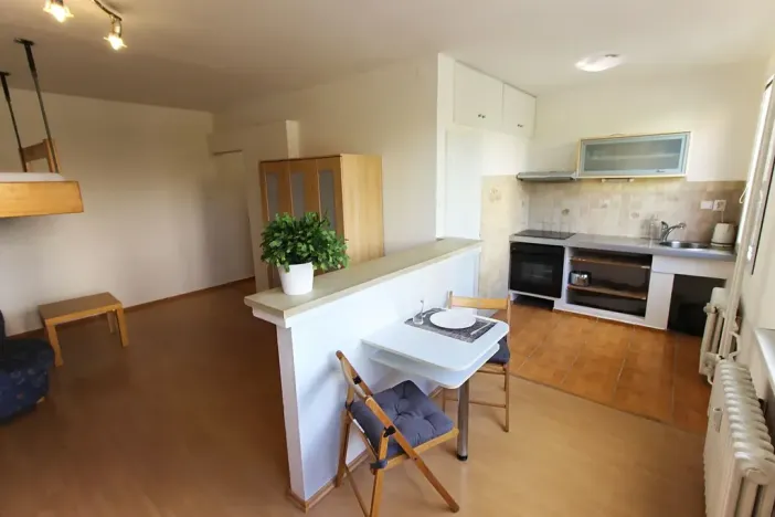 Pronájem bytu 1+kk, Teplice, Alejní, 31 m2