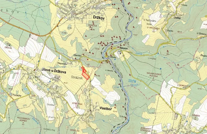 Prodej podílu louky, Jílové u Držkova, 12382 m2