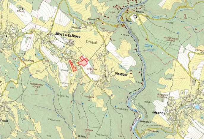Prodej podílu louky, Jílové u Držkova, 11111 m2