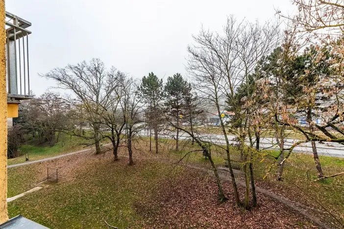 Prodej bytu 2+1, Praha - Hloubětín, Zelenečská, 52 m2