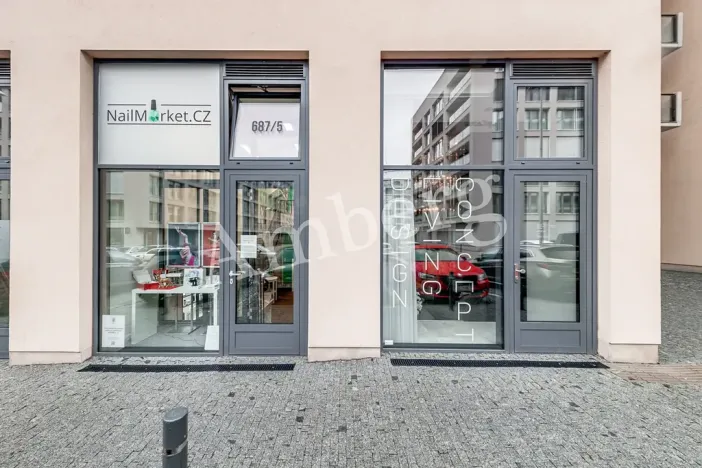 Pronájem bytu 1+kk, Praha - Karlín, U Mlýnského kanálu, 37 m2