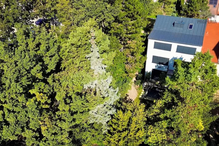 Prodej kanceláře, Brno, Obecní, 287 m2