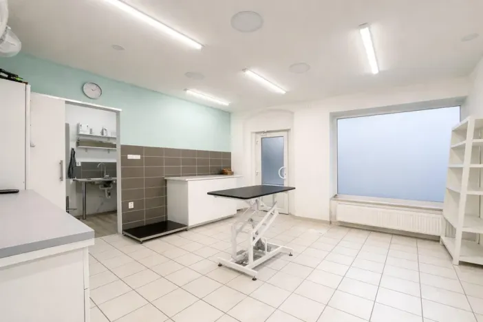 Pronájem ordinace, Mnichovo Hradiště, Masarykovo náměstí, 57 m2