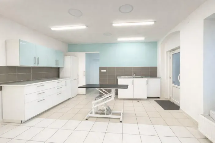 Pronájem ordinace, Mnichovo Hradiště, Masarykovo náměstí, 57 m2