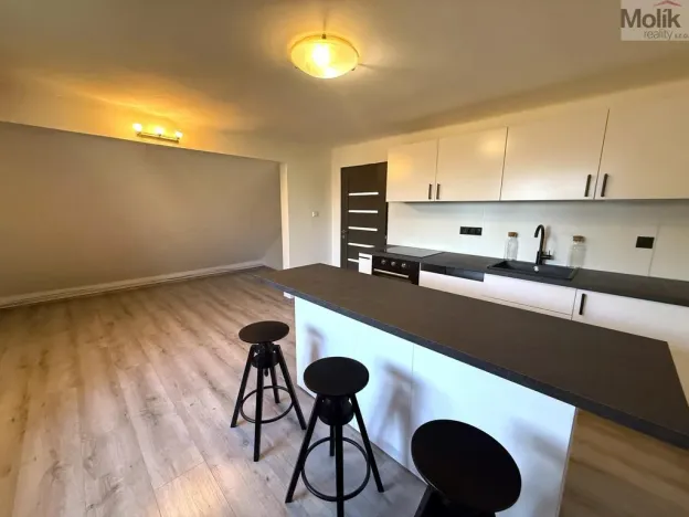 Pronájem bytu 3+1, Most, Vinohradská, 100 m2