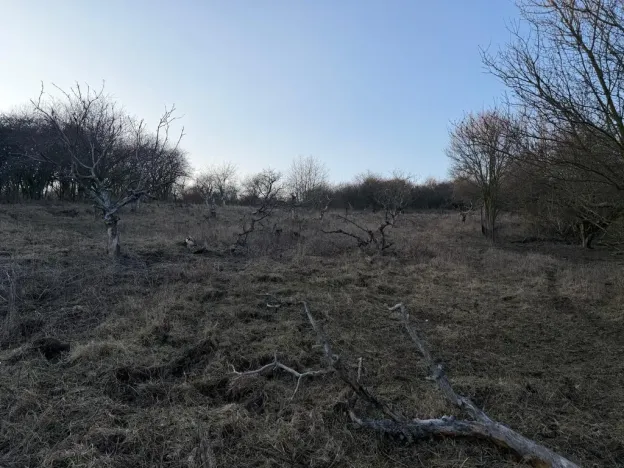 Prodej zahrady, Litoměřice - Předměstí, Veveří, 3183 m2