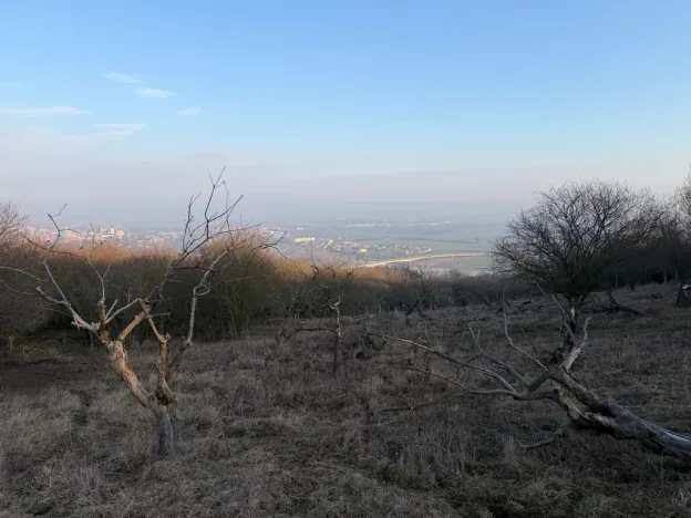 Prodej zahrady, Litoměřice - Předměstí, Veveří, 3183 m2