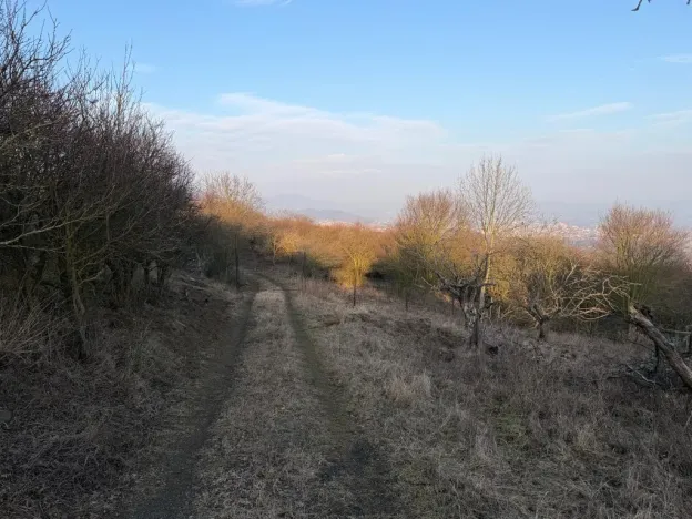 Prodej zahrady, Litoměřice - Předměstí, Veveří, 3183 m2