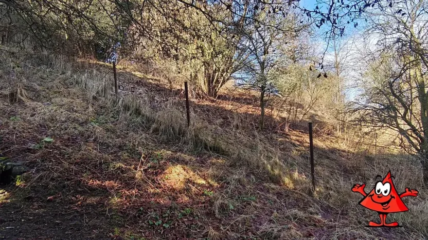 Prodej pozemku pro bydlení, Volfartice, 1372 m2