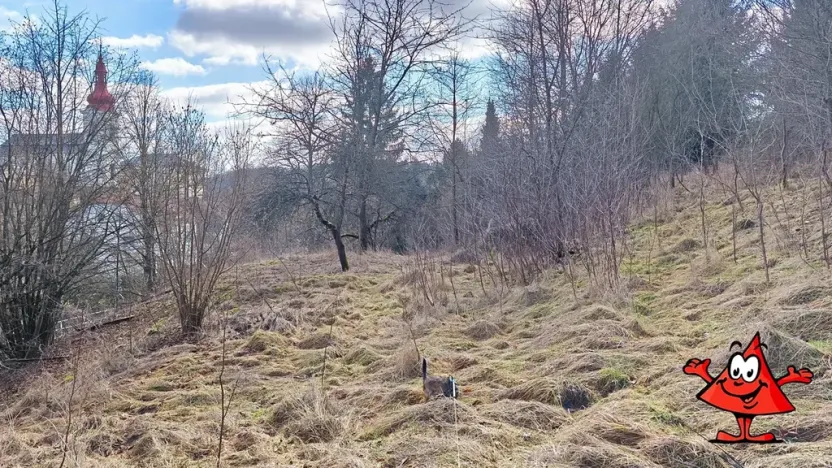 Prodej pozemku pro bydlení, Volfartice, 1372 m2