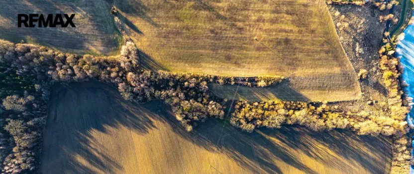 Prodej komerčního pozemku, Polom, 40000 m2