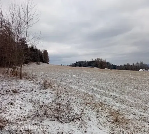 Dražba pole, Sušice, 4799 m2