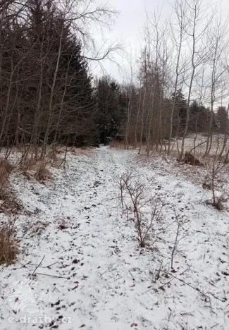 Dražba pole, Sušice, 4799 m2