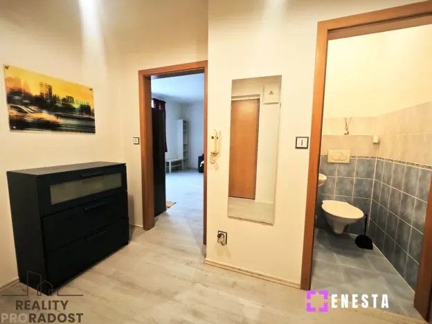 Pronájem bytu 1+kk, Praha - Libeň, Budilova, 39 m2