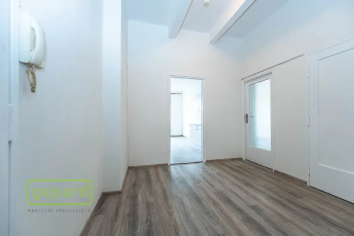 Pronájem bytu 1+1, Praha, Pod Drinopolem, 53 m2