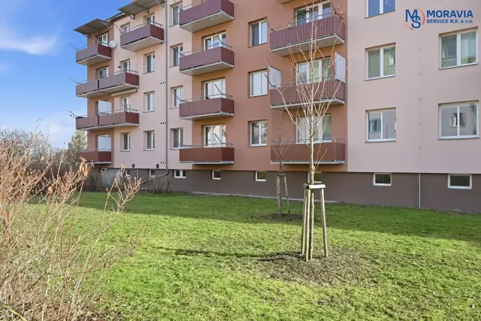 Prodej bytu 3+1, Olomouc, Jižní, 75 m2