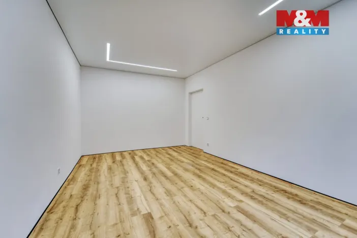 Prodej bytu 2+1, Plzeň - Východní Předměstí, Brojova, 56 m2