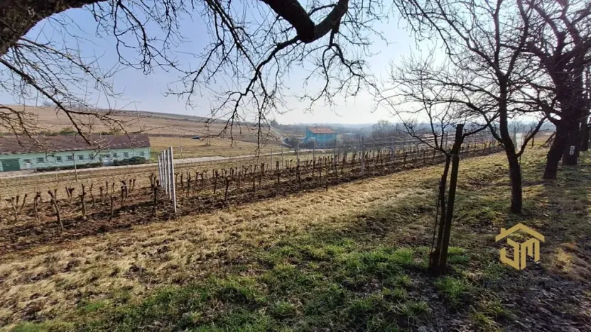 Prodej sadu/vinice, Hovorany, 1322 m2