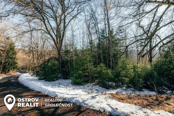 Prodej pozemku pro bydlení, Železná Ruda, 830 m2