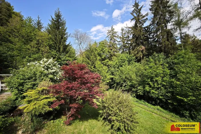 Prodej chaty, Borač, 50 m2