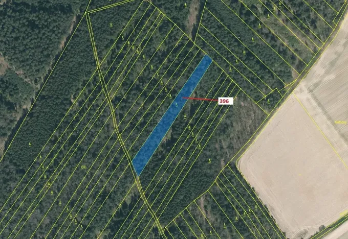 Dražba lesa, Komárov, 3832 m2