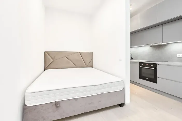 Prodej bytu 1+kk, Praha - Žižkov, Hartigova, 45 m2