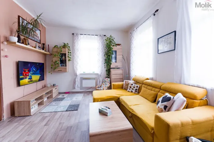 Prodej vícegeneračního domu, Luby, Chebská, 445 m2