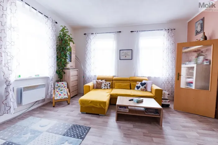 Prodej vícegeneračního domu, Luby, Chebská, 445 m2