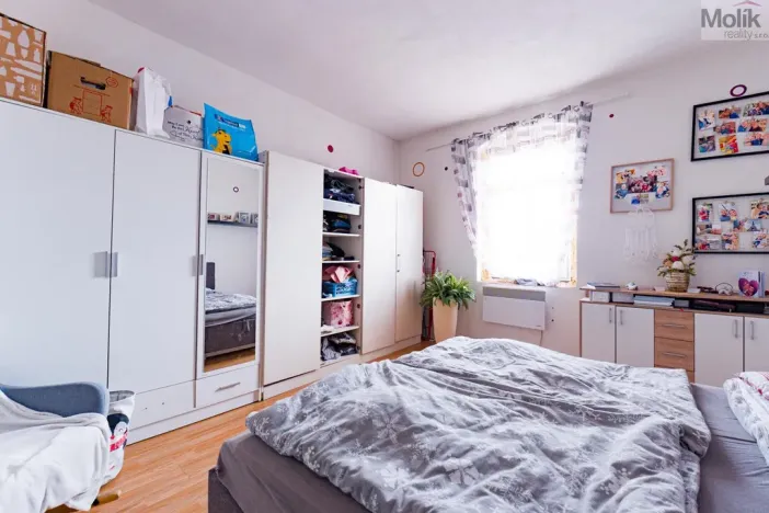 Prodej vícegeneračního domu, Luby, Chebská, 445 m2