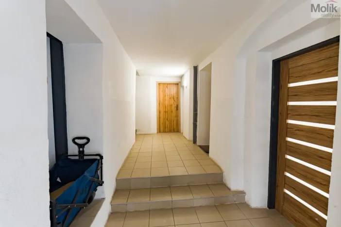 Prodej vícegeneračního domu, Luby, Chebská, 445 m2