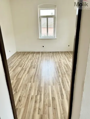 Prodej vícegeneračního domu, Luby, Chebská, 445 m2