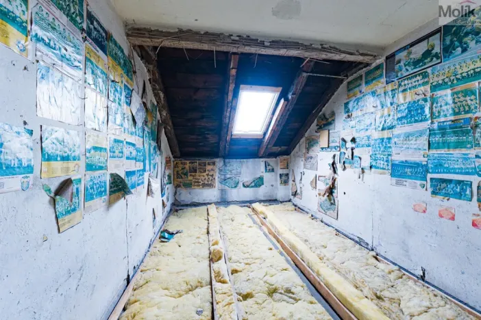 Prodej vícegeneračního domu, Luby, Chebská, 445 m2