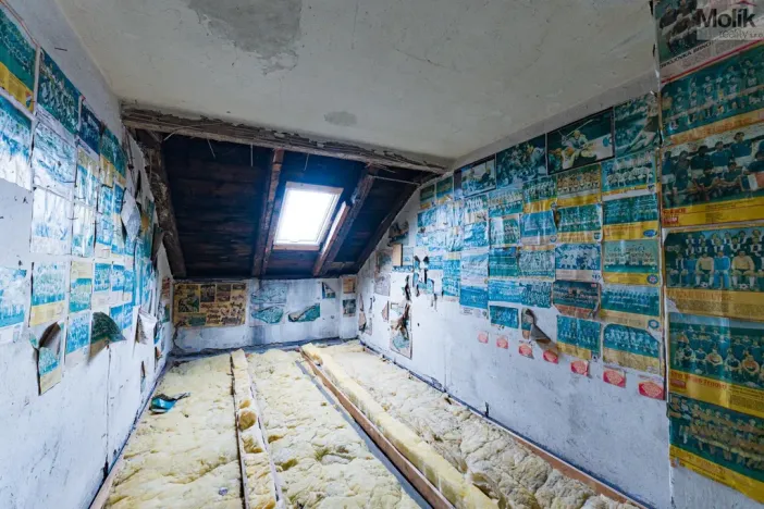 Prodej vícegeneračního domu, Luby, Chebská, 445 m2